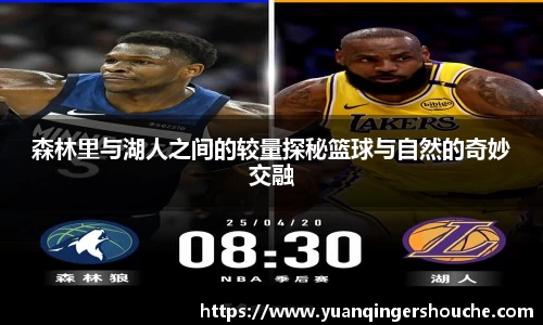 完美电竞-汇聚星光