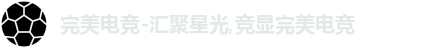 完美电竞